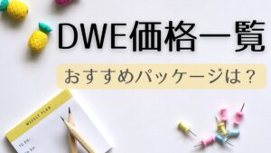 ディズニー英語システムの効果が期待以上だった。1年間の成果を大公開